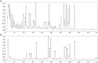 Profiling of Petroselinum sativum (mill.) fuss phytoconstituents and assessment of their biocompatibility, antioxidant, anti-aging, wound healing, and antibacterial activities